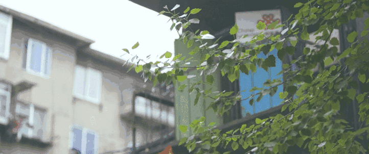 不知道从哪一天开始,
