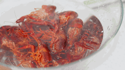 沸水煮10分钟就可以出锅啦,直接倒入冰水中冷却,这一步也很重要,有利于最后虾肉的Q弹口感。