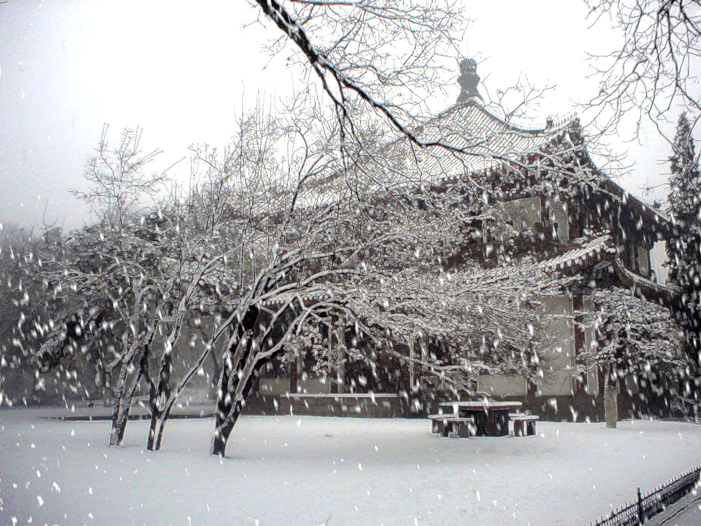 下雪啦!河南今冬第一场雪飘在了这里