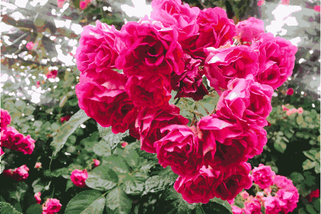 你以為這樣就結束了嗎