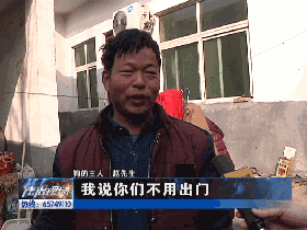 那么，趙先生養的狗屬于什么品種，怎么會好端端發瘋了呢？