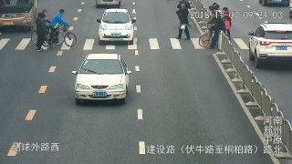 豫AD82755未禮讓行人