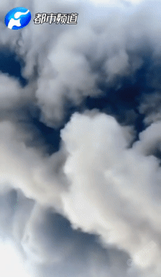 都市報道記者現場了解到