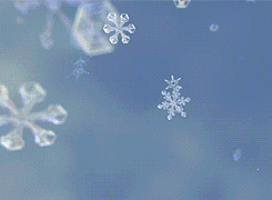 别等雪了!出门看冰瀑去吧!