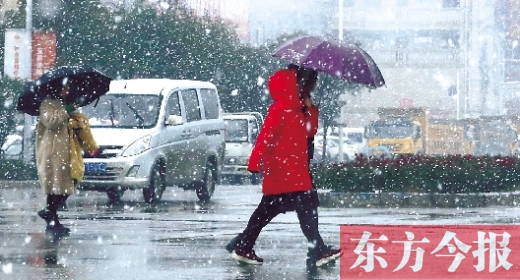 如期而至的雪花纷纷扬扬地洒落在郑州街头