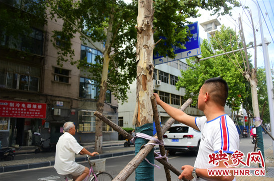 ֣˳·80÷ͩɻһ 80ֻɻ7