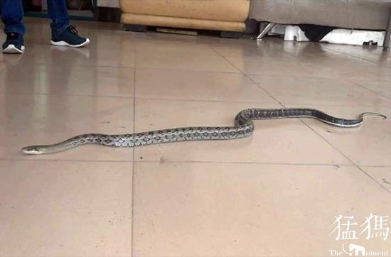 ֣���׶�԰�ſ���2�׳��� ��ҵ��Ա׽ס��Ź���Ȼ