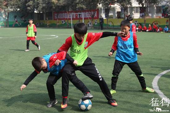 （猛犸新聞·東方今報記者&nbsp; &nbsp;袁曉強&nbsp;攝）