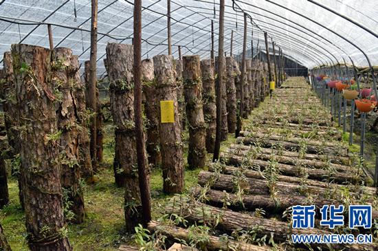 圖為新縣田鋪鄉(xiāng)田鋪大塆一隅。