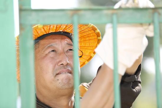 南陽工務段南陽西線路車間職工正在對轄區缺漏、損壞的防護柵欄進行補修