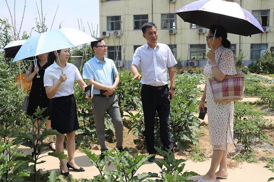 曹老师与学校老师对《四季蔬果香》课程进行交流