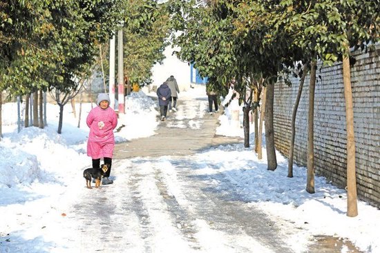 雪后的中原乡村 透着“老家河南”的乡愁记忆