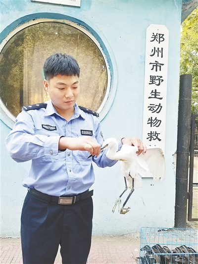 郑州市民发现一只受伤大鸟 竟是国家二级保护动物