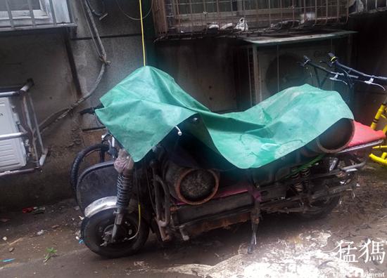 猛犸新聞·東方今報記者 張曉冬 萌友 朱幸/文圖