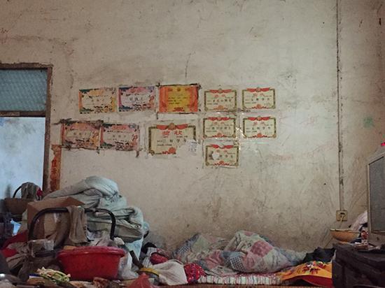 老七程佳苗獲得的獎狀