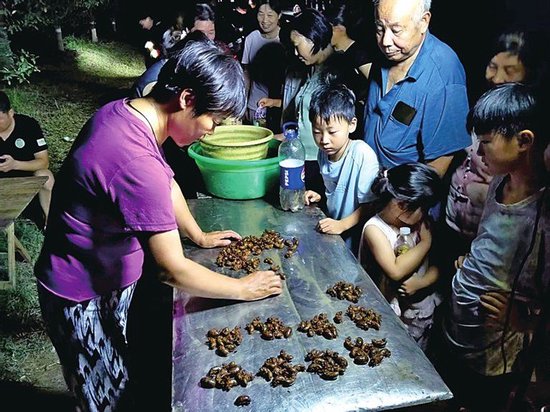 郑州郊区夏夜捉知了猴火了 72岁大爷3个小时捉了460只