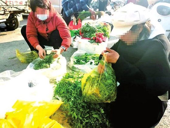 市民在集市选购荠荠菜