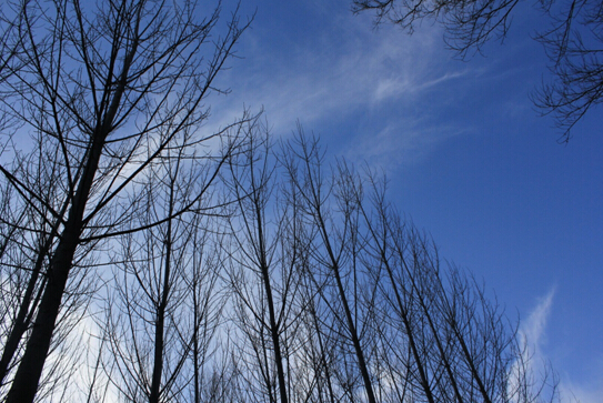太行山深處的清幽景色