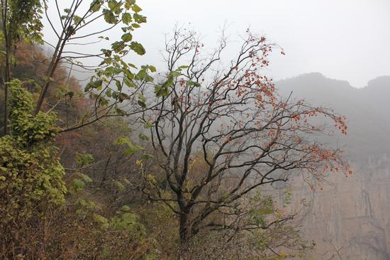 新鄉壯美南太行