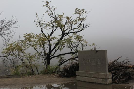 王家辿香椿園區