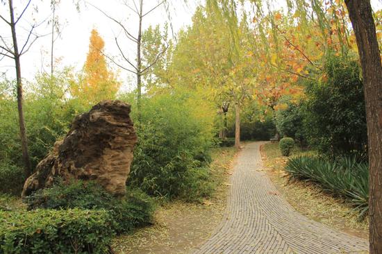 淇水詩苑里的小路