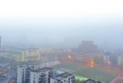 这几天的郑州，不是雾霾，就是阴雨，难见太阳。