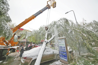夹马营路一棵被积雪压倒的柳树正好砸在轿车上，抢险人员在抓紧时间施救。