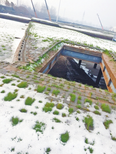 鋼架結(jié)構(gòu)房頂留有方孔，種上了草。