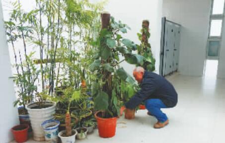 像花房一樣的公廁