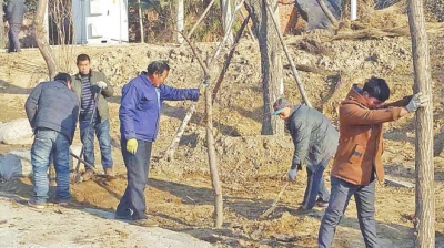 園林工人正在湖邊栽種花卉苗木