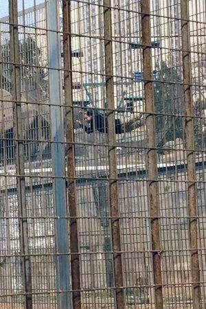 男子落入在虎園半空的護網上。微博網友火箭供圖