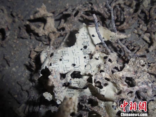 夏道镇饶阿婆压箱底的4万余元现金及两张银行存折被蚂蚁吃光。 丁晨 摄