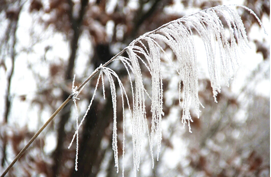 踏雪尋梅，西九華山冰雪之約