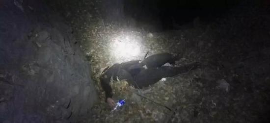 驻马店女子济源景区坠崖身亡 遗体深夜被抬下山