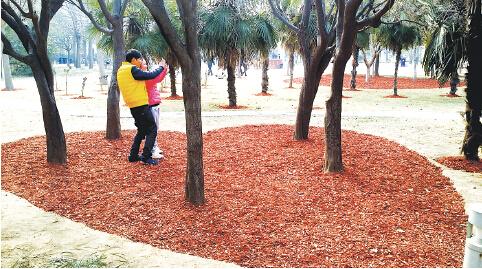 這些紅色小木塊就是“木奇”