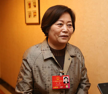 全国人大代表王绣:我们对文化的传承甚至不如韩国日本_新浪河南_新浪网