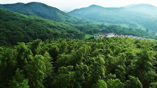河南人口最大的县_信阳市第一大县 比商城 罗山还大,相当于1.65个浉河区(3)