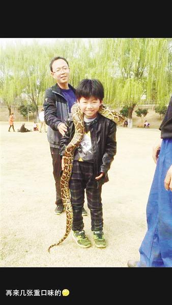 漯河男子小區附近遛2米蟒蛇 為國家一級保護動物