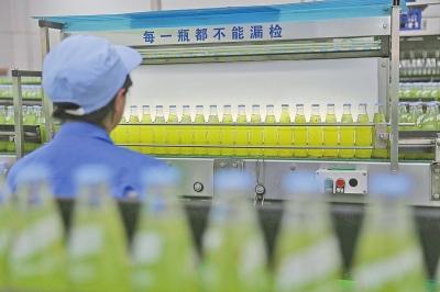 海碧生产线上，工作人员仔细检测每一瓶。