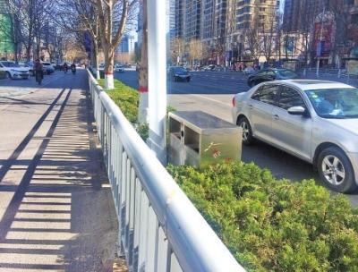 鄭州奇葩設施：公交車道沒站臺花壇設路中間