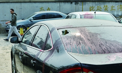 图为其中一辆私家车被泼上了油漆，车窗也被砸。摄/记者 郭谦。