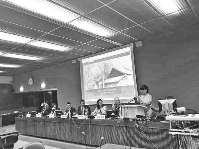 王茜在向多国官员演讲。
