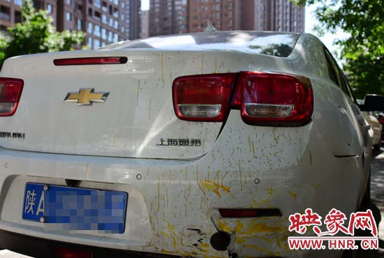 鄭州300多萬奔馳跑車追尾雪佛蘭