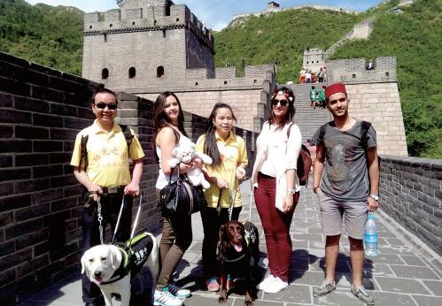 两位盲人和导盲犬在长城上与外国游客合影 受访者供图