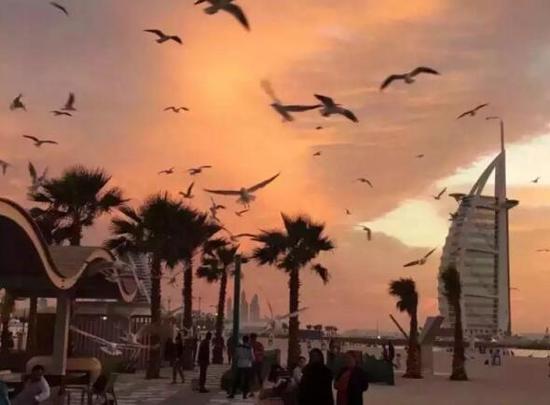 迪拜遍地黃金？