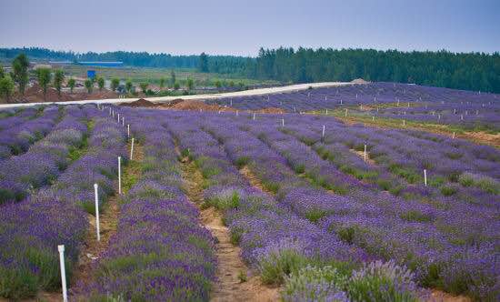 遂平县转型升级迎大发展 电子商务+休闲旅游成