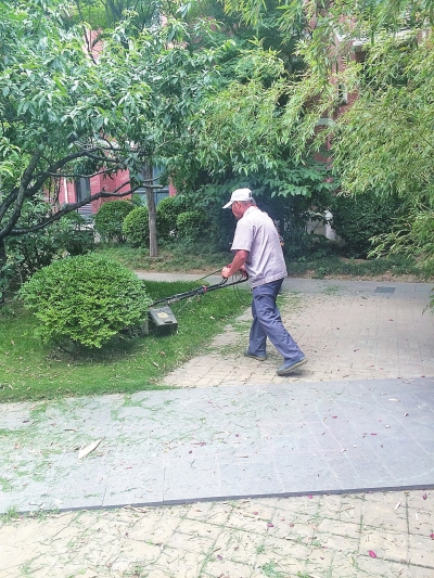 郑州多个小区割草机轰鸣声大 居民苦不堪言