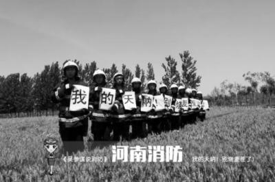 岳云鵬弟弟喊哥哥回家收麥子 呼吁大家別燒麥茬