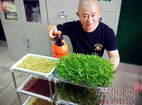 在纸上种出蔬菜