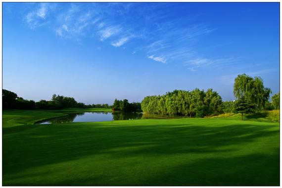 首届亚美对抗赛 国内外青少年决战金沙湖_郑州